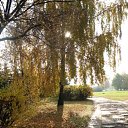 2009 ��� �� ������� ������ � ������