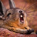  , -, 36  -  15  2010   