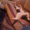  , -, 61  -  12  2012   