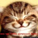 ���� �����, ����������, 60 ��� - ��������� 13 ���� 2010 � ������ �������