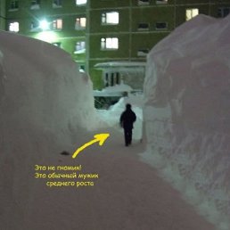 ��������.