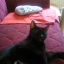 ���� Natalya, ��������, 56 ��� - ��������� 11 ������� 2011 � ������ ����� ����, ���� � &amp;�