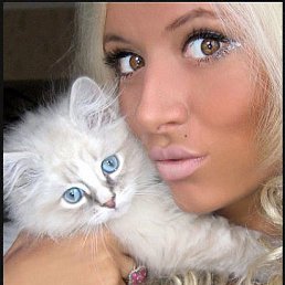 ���� ���������, ��������, 38 ��� - ��������� 20 ������� 2010