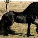 ���� �����, ������, 48 ��� - ��������� 12 ������� 2013 � ������ ���� ����������