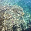 ���� �������, ��������� - ��������� 1 ������� 2011 � ������ ���� ����������