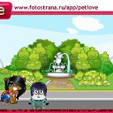  , , 37  -  10  2010   PetLove