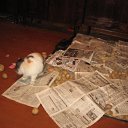 ���� ���, ������������ - ��������� 24 ������ 2012 � ������ ������