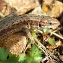 ���� Kasatkin, ����������, 48 ��� - ��������� 20 ��� 2011 � ������ �������