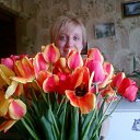 ���� ���, ��������, 42 ���� - ��������� 10 ���� 2011 � ������ ���� ����������