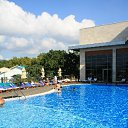  ok, --, 44  -  20  2012    2011 ()