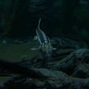  , , 47  -  7  2010   - 2010