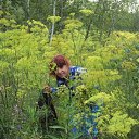  Lena, , 54  -  2  2010    