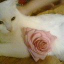 ���� ������, ������, 46 ��� - ��������� 11 ���� 2010 � ������ ������