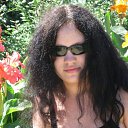  , , 33  -  15  2009   . .  