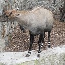 ���� ������, �������, 35 ��� - ��������� 18 ������� 2012 � ������ ���� ����������