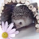 ���� ����. ��������� �� ��!, ������, 72 ���� - ��������� 30 ���� 2011 � ������ ������