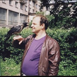 �������� �����., �����-���������, 86 ���