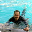 Dolphiner    
