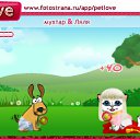  ,  , 46  -  29  2010   PetLove