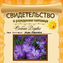 ���� ����, �������, 58 ��� - ��������� 25 ���� 2013 � ������ �������
