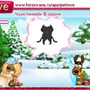  Tatjanka, , 34  -  27  2010   PetLove