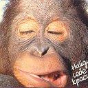 ���� ���, ������, 49 ��� - ��������� 24 �������� 2010