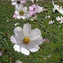 ���� ������� �� �������!!!, ��������� - ��������� 2 ������� 2013 � ������ ���� ����������