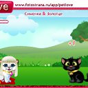  , , 33  -  25  2010   PetLove