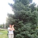 ���� �������, �����-���������, 55 ��� - ��������� 3 ������� 2011