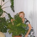 ���� �������, ������� �����, 68 ��� - ��������� 3 ��� 2012 � ������ ���� ����������