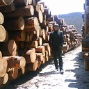 ���� �����, ���������, 38 ��� - ��������� 2 ��� 2012 � ������ ���� ����������