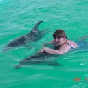  , , 62  -  20  2010      !