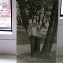 ���� ���������, �����������, 66 ��� - ��������� 1 ���� 2011 � ������ ���� ����������