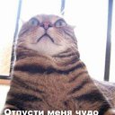  Serzh Van Der Maaremaan,  -  1  2009   