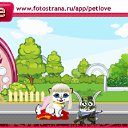  Ҹ,  , 22  -  20  2011   PetLove