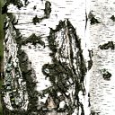 ���� �������, ������������ - ��������� 12 ������� 2011 � ������ ���������� ����