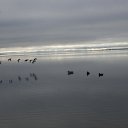 ����!!! �� ������� �������