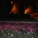 ���� Oldman, ������������ - ��������� 28 ���� 2009 � ������ ���� ������� ����� ������