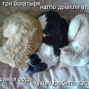 ���� �����, ������, 35 ��� - ��������� 2 ���� 2012 � ������ �������