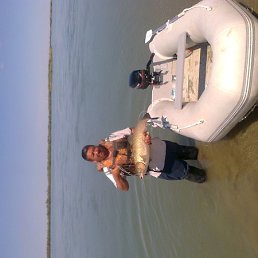 �� �������