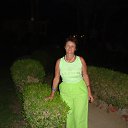  , -, 71  -  31  2013    2013