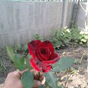 ���� ����, ������ ����, 41 ��� - ��������� 26 �������� 2011 � ������ �������