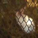  , , 36  -  25  2010      . 2010. .