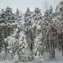 ���� Q, �����������, 26 ��� - ��������� 16 ���� 2013 � ������ ���� ����������