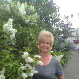 ��������, ��������, 78 ���