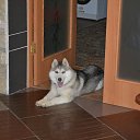 ���� ��������, ����� �������, 59 ��� - ��������� 16 ������ 2013 � ������ ���� ����������