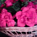 ���� �����, ���������, 52 ���� - ��������� 5 ������ 2012 � ������ ���� ����������