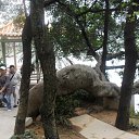 ���� �������, ������, 50 ��� - ��������� 11 ������� 2012 � ������ ���� ����������