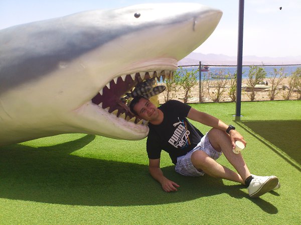 :   .  ) - Dm B, 36 , -