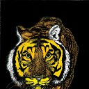 ���� �����, ������, 23 ���� - ��������� 17 ������� 2010 � ������ ������